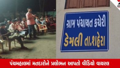 Gram Panchayat election: સરપંચ પદના ઉમેદવારે મતદારોને મોટી લાલચ આપી