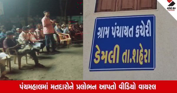 Gram Panchayat election: સરપંચ પદના ઉમેદવારે મતદારોને મોટી લાલચ આપી Gram Panchayat election: સરપંચ પદના ઉમેદવારે મતદારોને મોટી લાલચ આપી