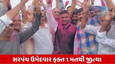 Gram Panchayat Election Result: મહેસાણાના પઢારીયામાં 1 મતથી સરપંચ બન્યા રતનસિંહ ચાવડા