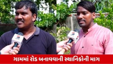Gram Panchayat Election: બોટાદના ભીમડાદ ગામમાં પડતર પ્રશ્નો ઉકેલવાની લોકોની માગ