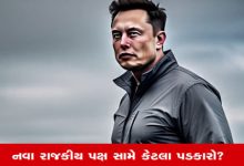 Elon Musk America Party: અમેરિકામાં 150 વર્ષોથી ડેમોક્રેટિક-રિપબ્લિકન પાર્ટીનો જ કેમ દબદબો, મસ્ક સામે કેટલા પડકારો? | Gujarati News | Sandesh