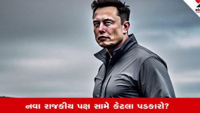Elon Musk America Party: અમેરિકામાં 150 વર્ષોથી ડેમોક્રેટિક-રિપબ્લિકન પાર્ટીનો જ કેમ દબદબો, મસ્ક સામે કેટલા પડકારો? | Gujarati News | Sandesh